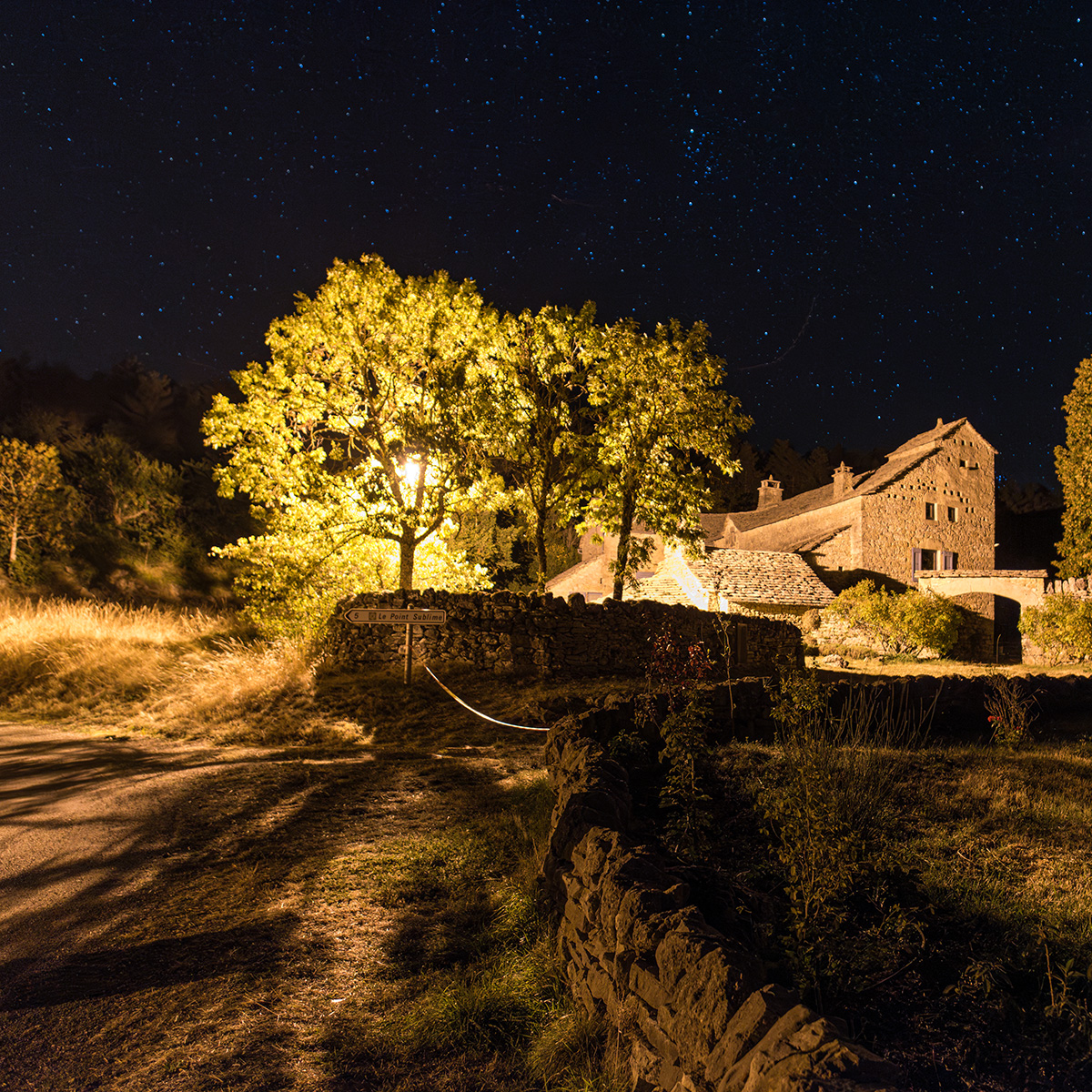 241_H3A8877 2HD_3000px 2S