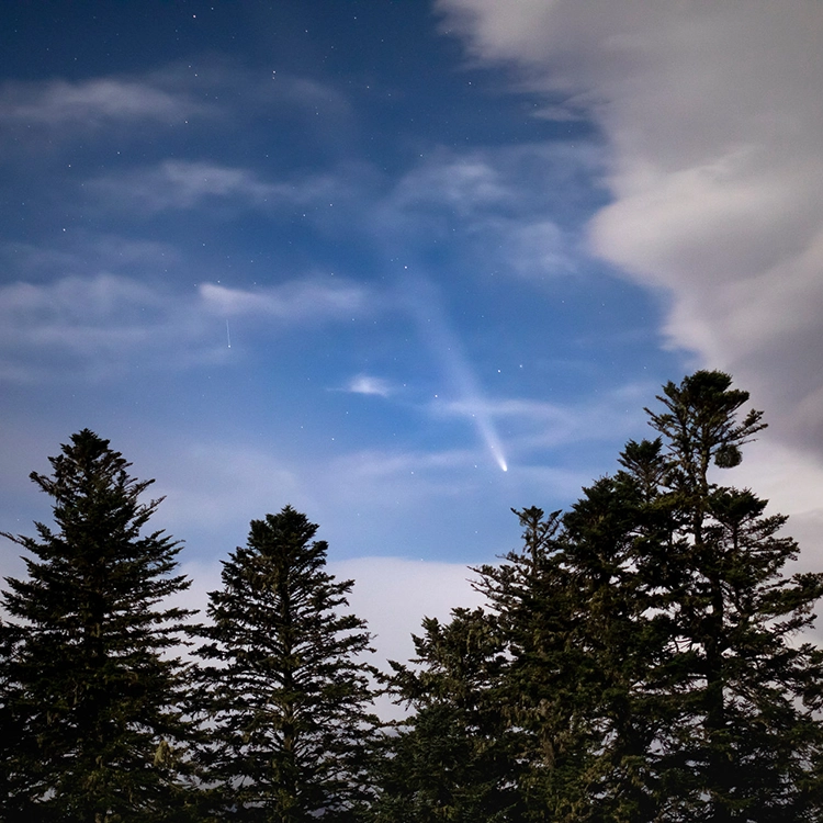 rice millevaches temporaire